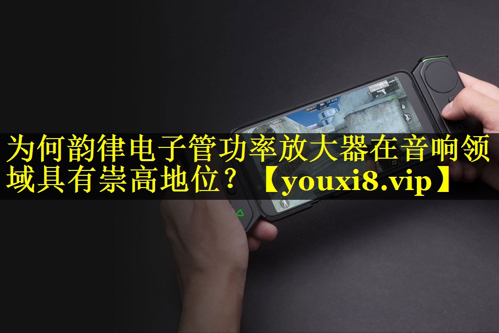 为何韵律电子管功率放大器在音响领域具有崇高地位? 为何韵律电子管功率放大器在音响领域具有崇高地位?